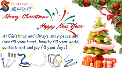 تعطیلات کریسمس مبارک و بهترین آرزوها را از طرف تیم NeuroSafe!